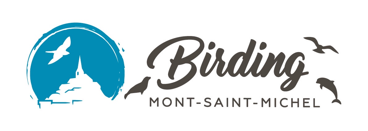 Birding Mont-Saint-Michel