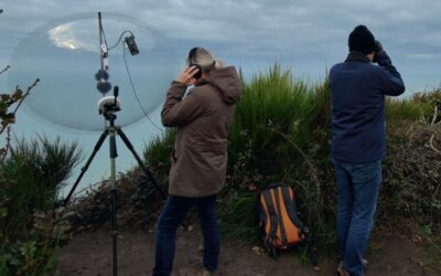 La sonothèque des oiseaux de la baie du mont-saint-michel, un projet naturaliste et patrimonial