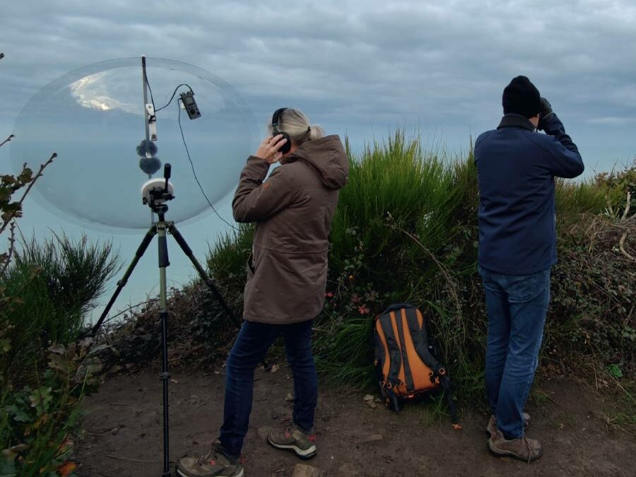 La sonothèque des oiseaux de la baie du mont-saint-michel, un projet naturaliste et patrimonial